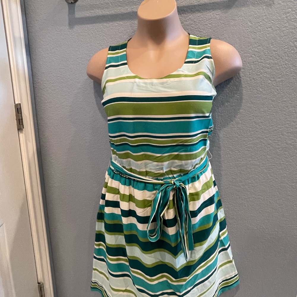 Banana Republic Size 10 Striped Sleeveless Dress with Belt
